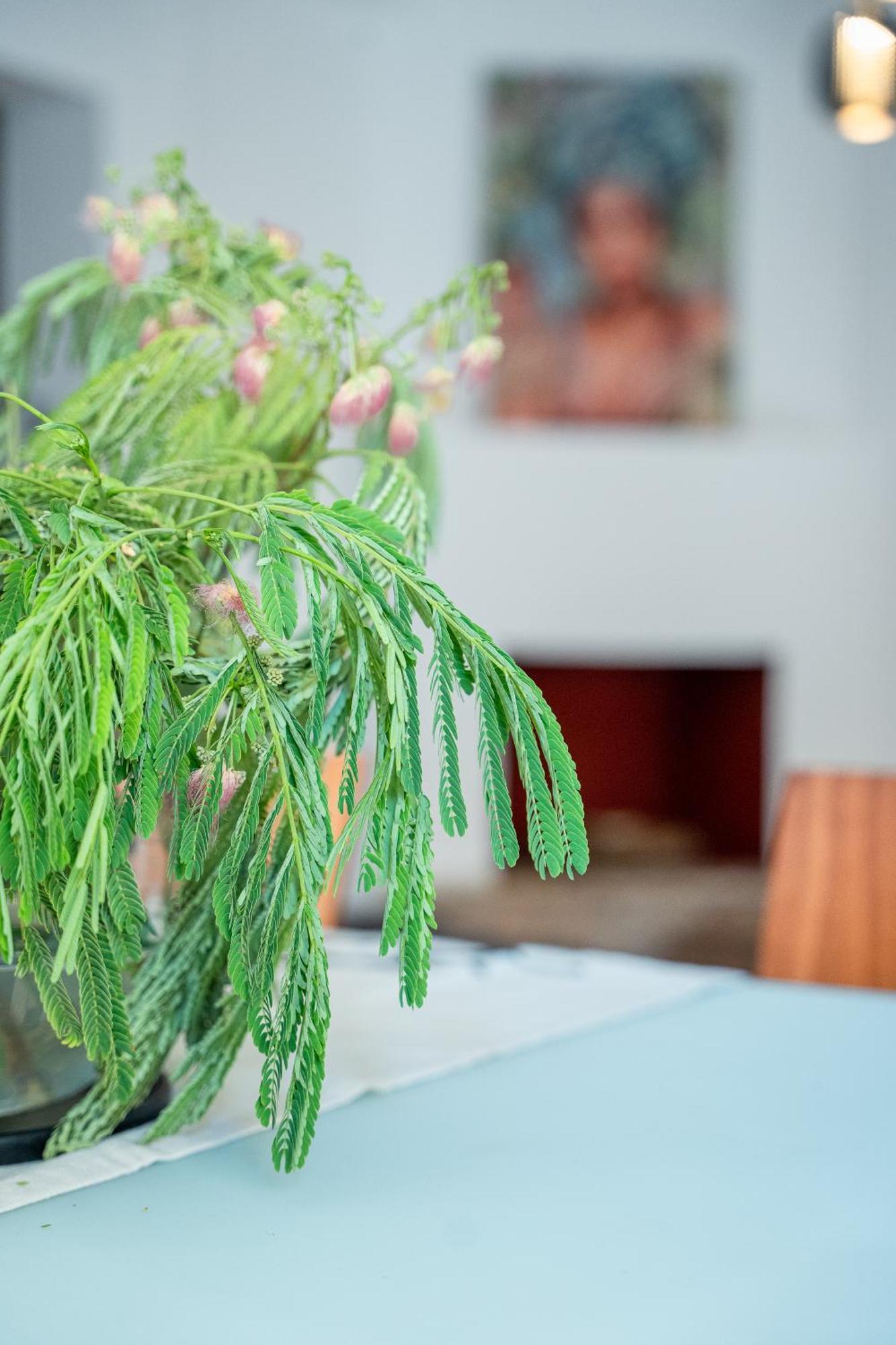 볼로스 Otium Living 아파트 외부 사진